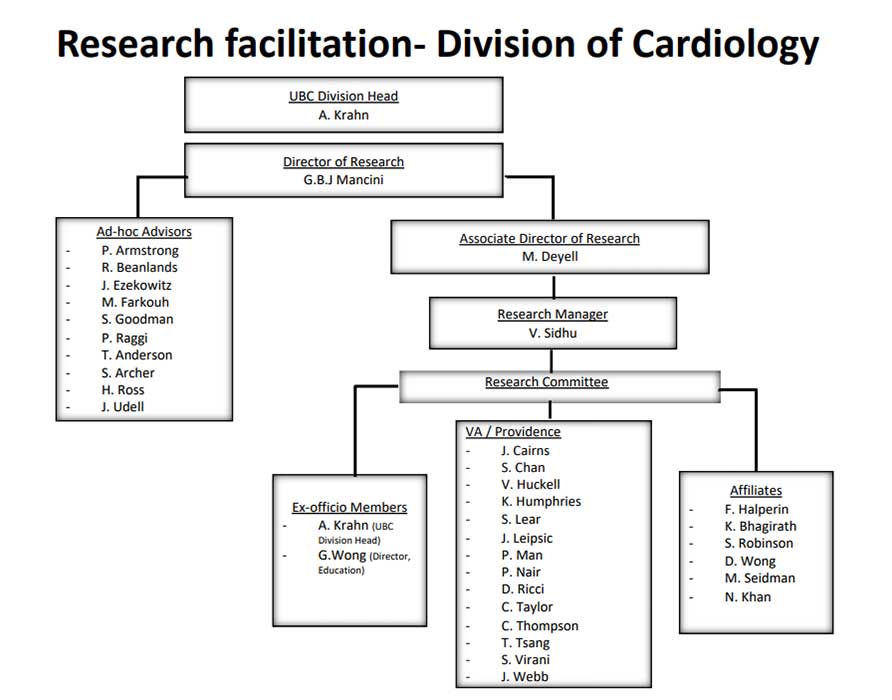 cardiology research organization chart
