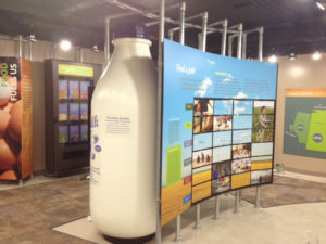 Custom Built Displays: Panther - Rayner Exhibit